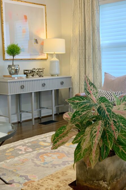 living-room-interior-design-indoor-house-plant