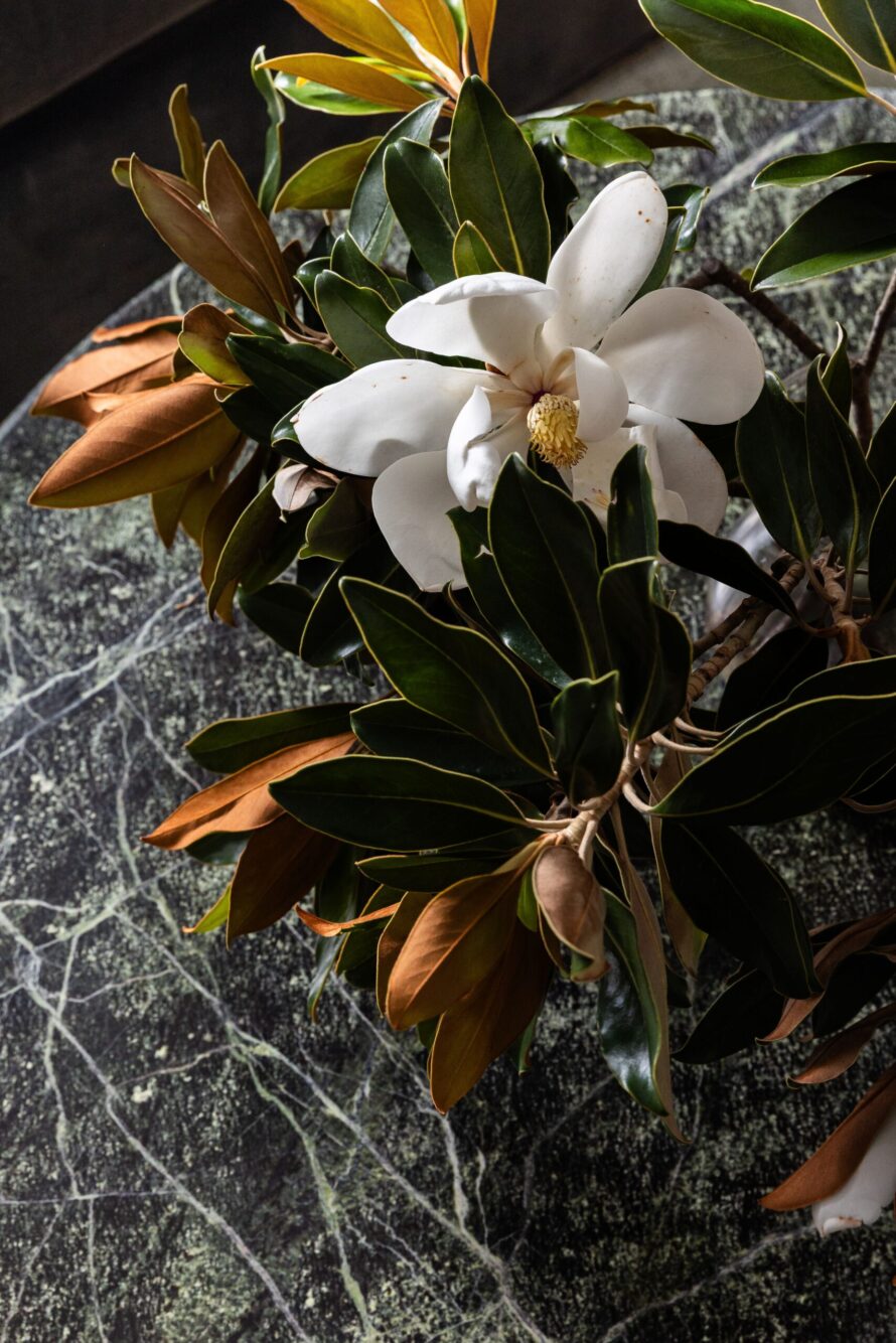 dallas-magnolias-elizabeth-ryan